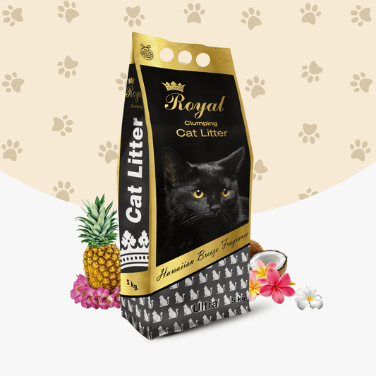 Royal Hawaiian Breeze Clumping Cat Litter Sand | By Indian Cat Litter